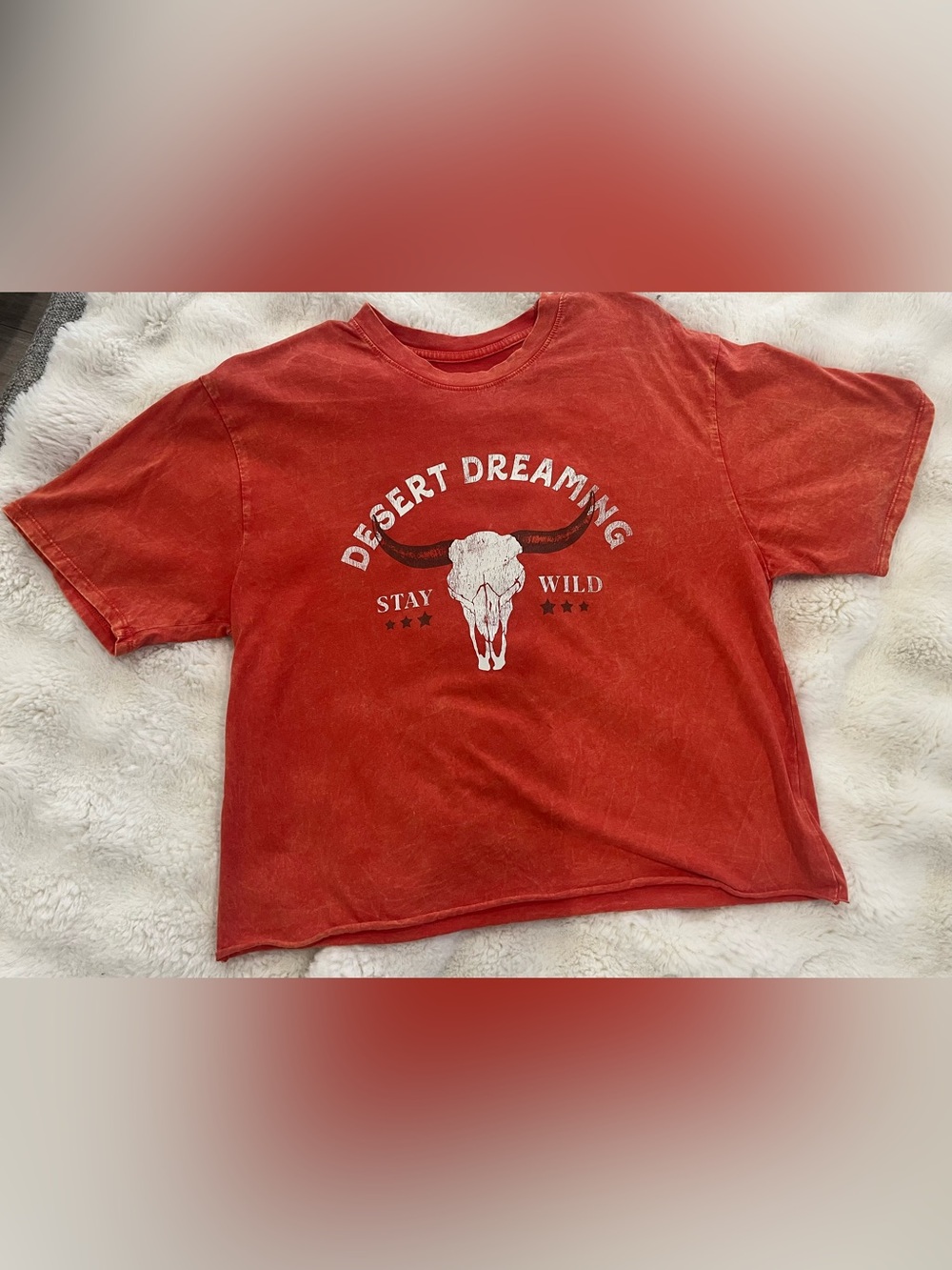 Desert Dreaming Red Graphic Crop Top